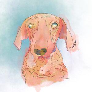 watercolor painting of a hairless mexican xolo dog with a blue background. The dog is painted in oranges and pinks, with the dog's eyes looking like galaxies.