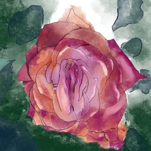 Watercolor painting of a vulva in the center of a blooming rose.
